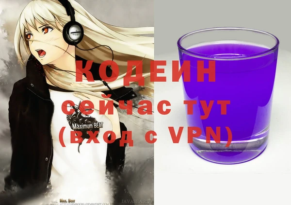 амф Няндома