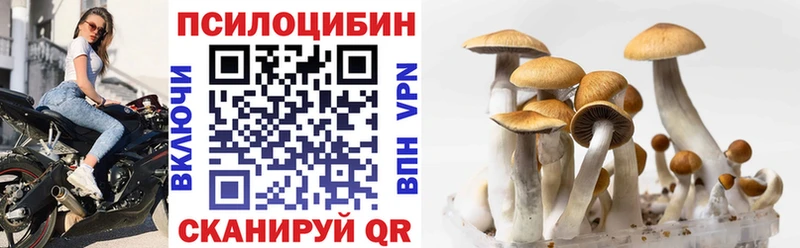 KRAKEN вход Серафимович Галлюциногенные грибы мицелий